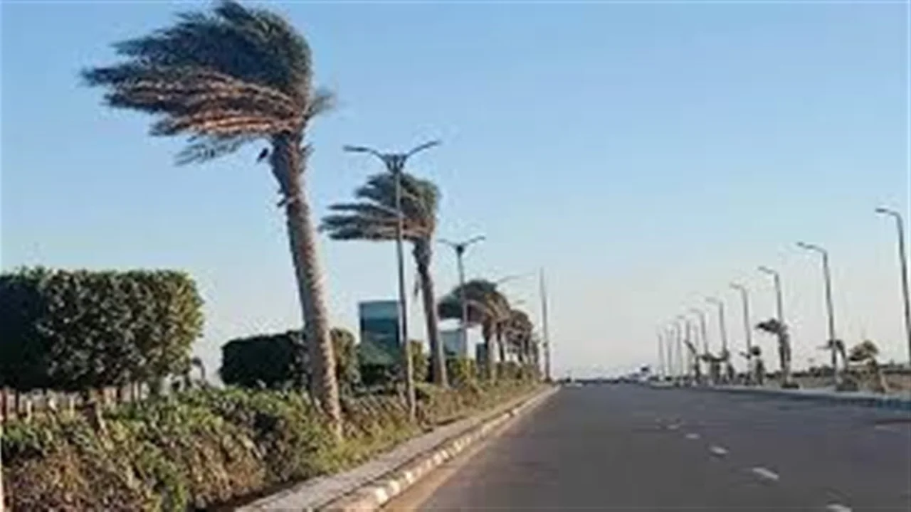 توقعات الأرصاد تشير لموجة شبورة ورياح بدءًا من الجمعة حتى الثلاثاء